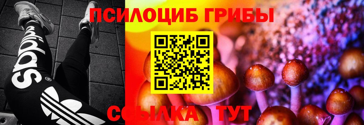 Галлюциногенные грибы GOLDEN TEACHER  Псилоцибиновые грибы GOLDEN TEACHER  Вход с VPN  Владимир 